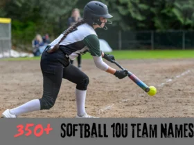 Softball 10U Team Names