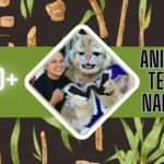 Animal Team Names