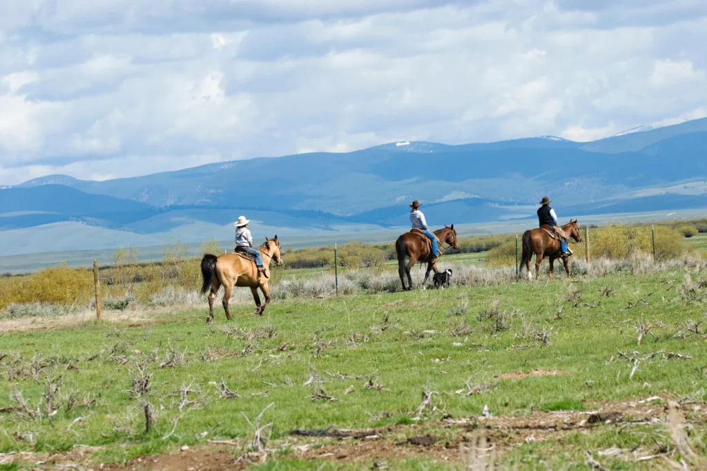Unique Trail Ride Group Names Ideas