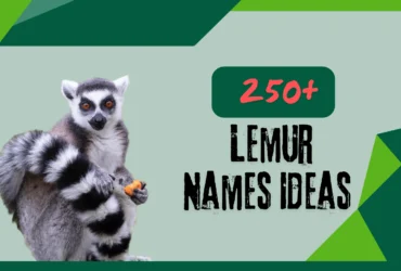 Lemur Names