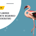 Flamingo Names