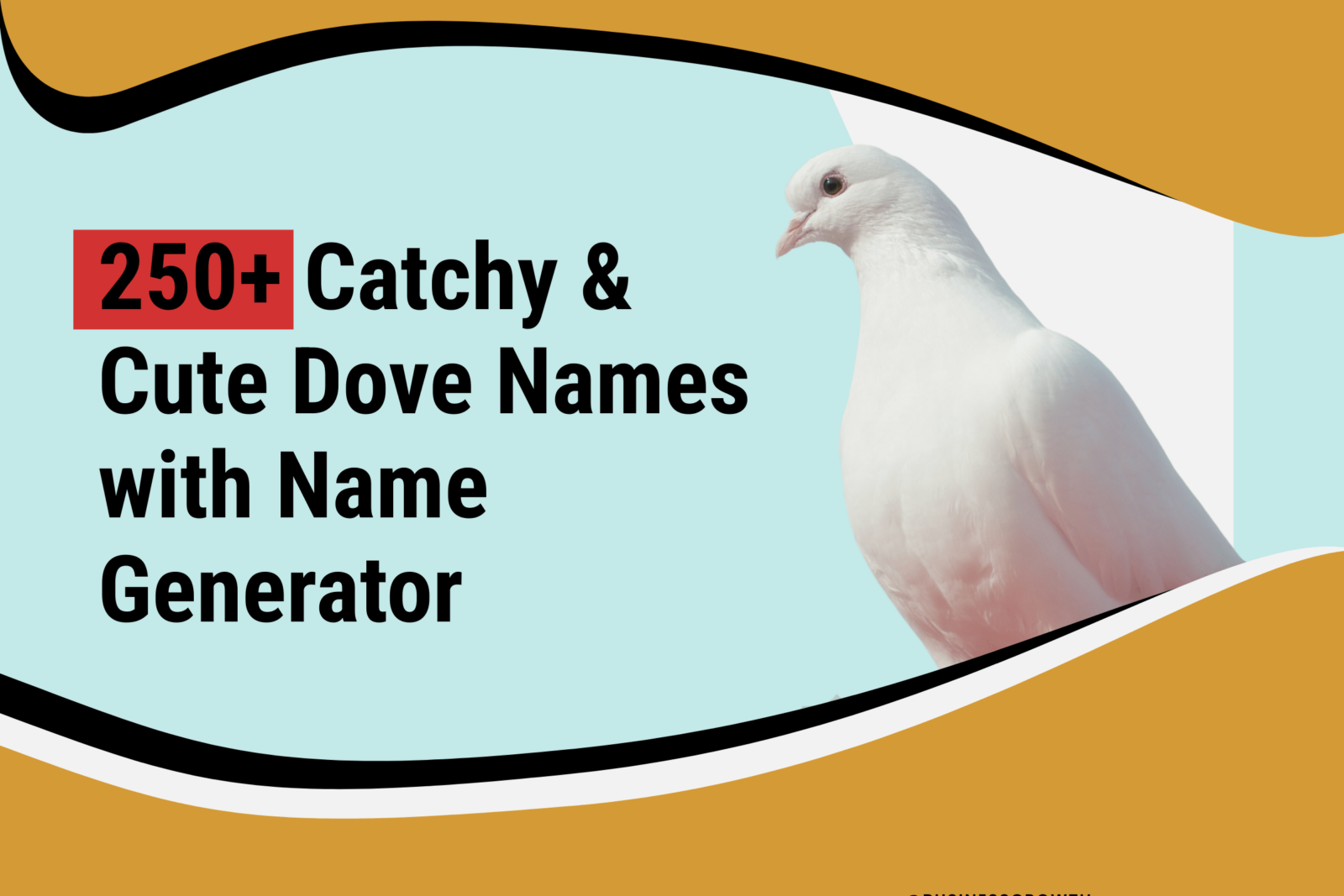 Dove Names