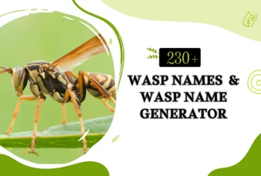Wasp Names