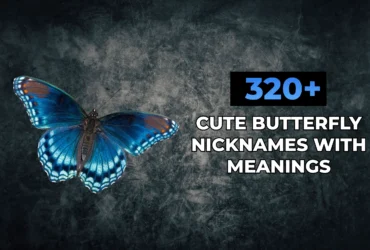 Butterfly Names