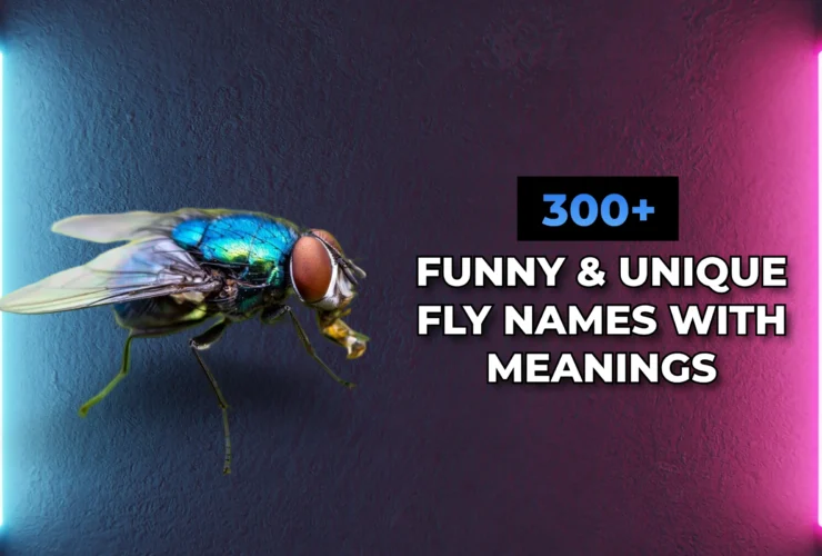 Fly Names