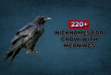 Crow Names