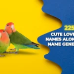 Lovebird Names with Meanings