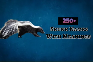 Skunk Names with Meanings