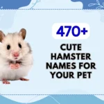 Hamster Names