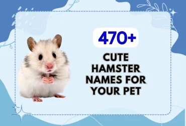 Hamster Names