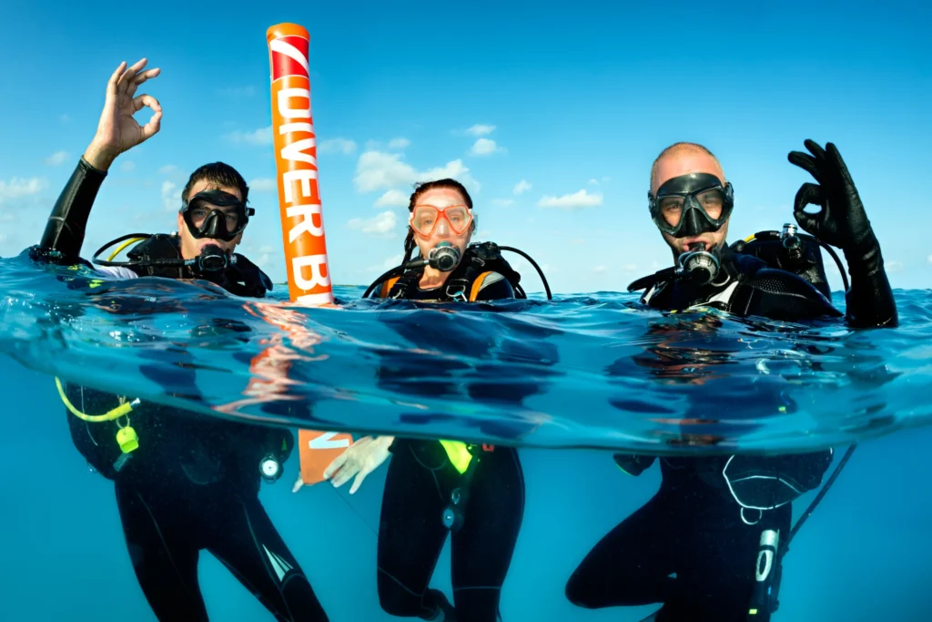 Dive Group Names